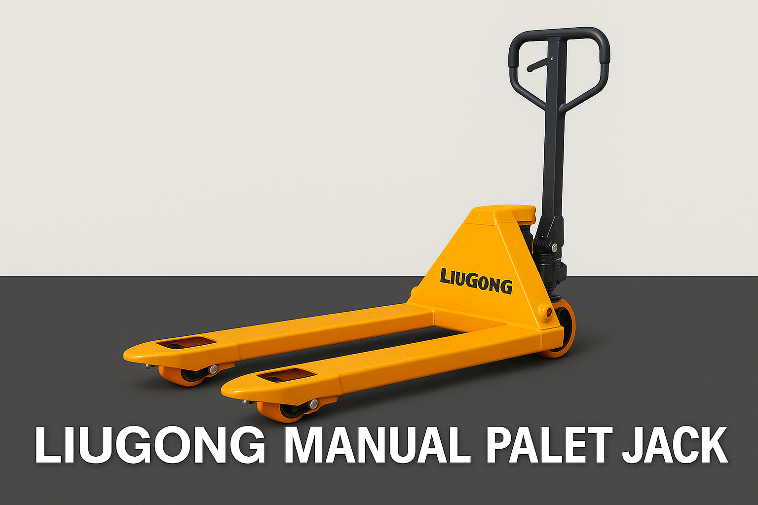 Manual
